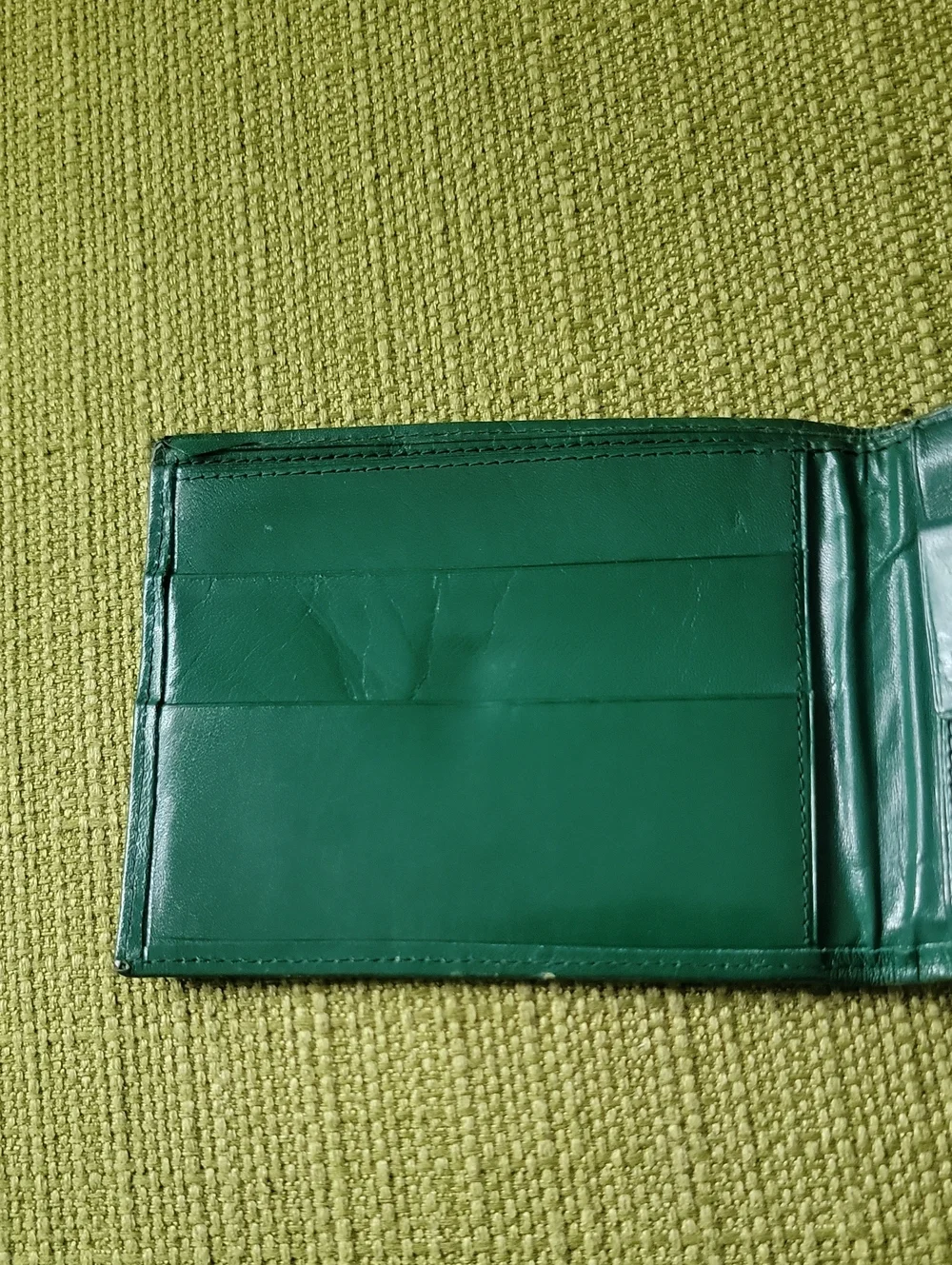 Green Leather Bifold Wallet with Gold Goat Accent